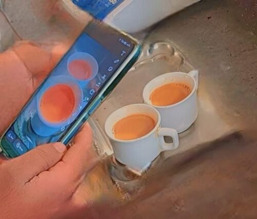 ROYAL SONA photo review